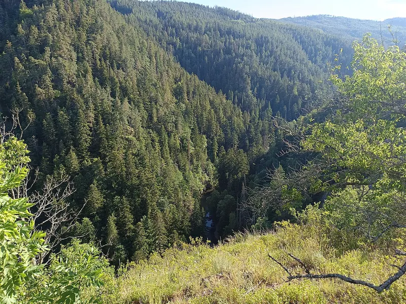 Forested valleys of Slovak Paradise
