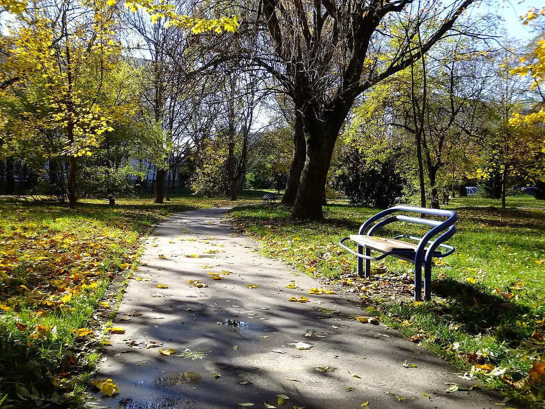 Path through the town park in Senica